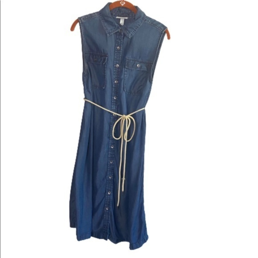 Liz Lange Maternity Chambray Botton Down Dress